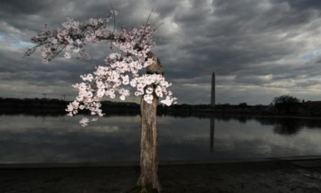 Obituary of Alice Broholm