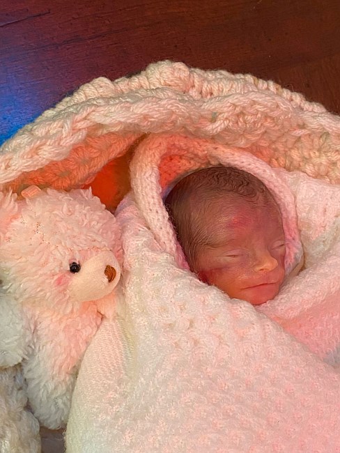 Obituary of Scarlett Rose Tucker