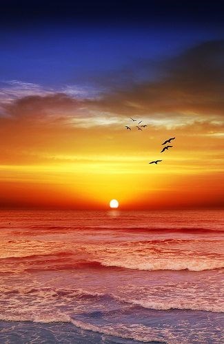 Obituary of Linda Coleman