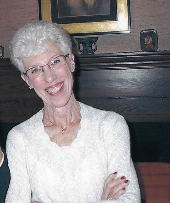 Obituary of Susan Julie (Davis) Fliegel