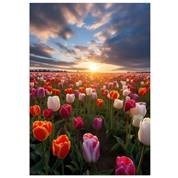 Obituary of Stephanie Marie Impullitti