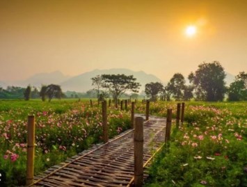 Obituary of Kemin Nicholas Ditnoy