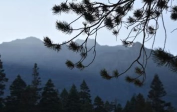 Obituary of La'nisha Re'nee La'tricie Morris