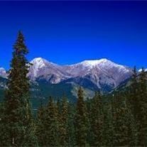 Obituary of Georgia Ann Hurst