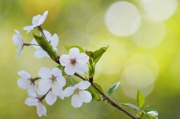 Obituary of Angela Marie Fleming