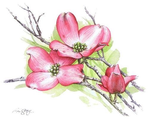 Obituary of Judy Faye-Ayers Davis