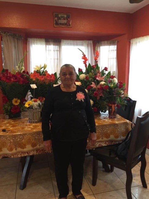 Obituary of Amanda DeJesus Ponce  Vargas