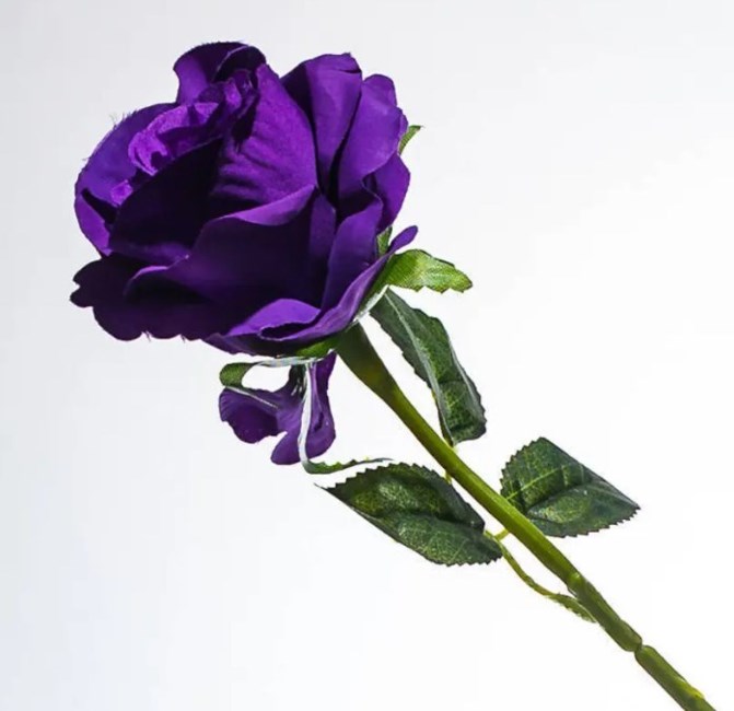 Obituary of Norma Jean Russell