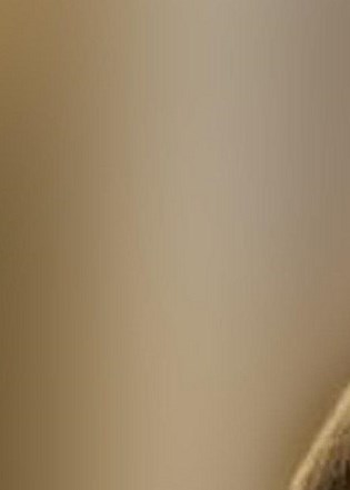 Yuen Lee Obituary - Burnaby, BC