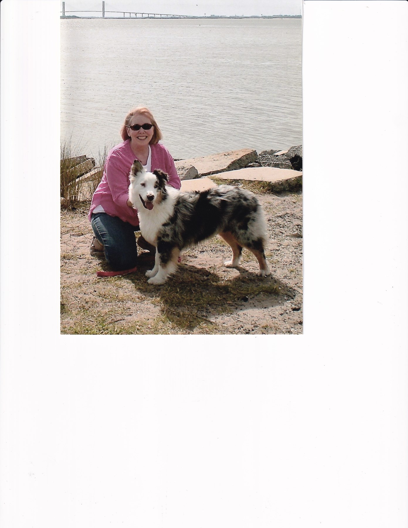 Obituary of Janice Louise Warsing