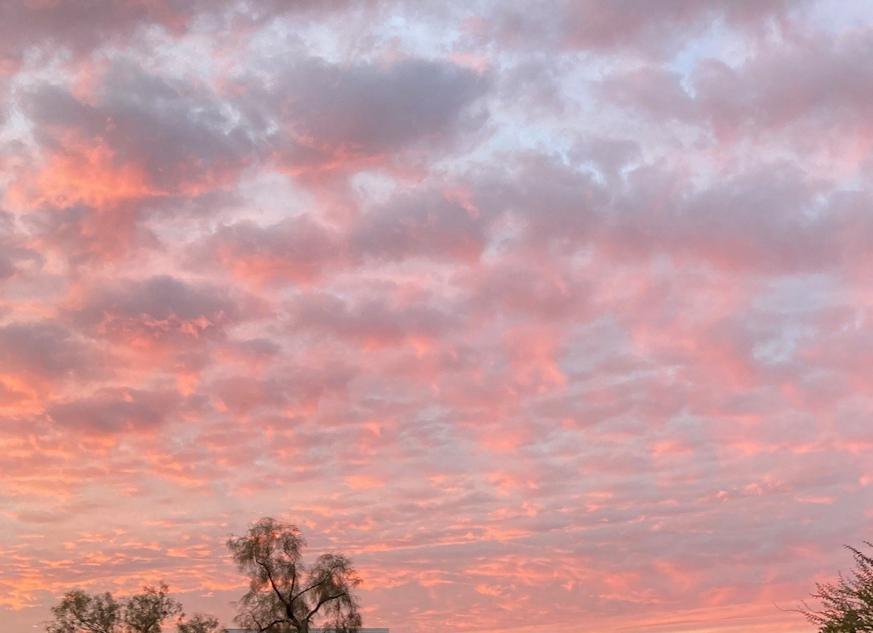Sharon atchison obituary phoenix az