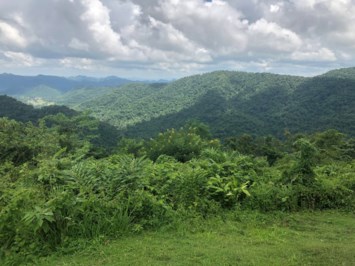 Obituary of Leonard Julius Nelson