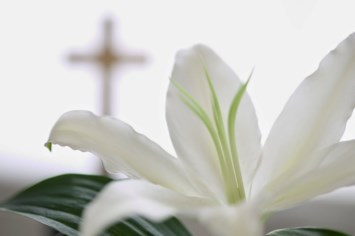 Obituario de Susan Michelle Dill