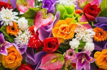 Obituario de Kay Marie Peterson