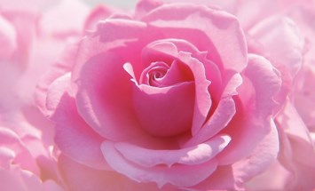 Obituary of Grace Laverne Wright