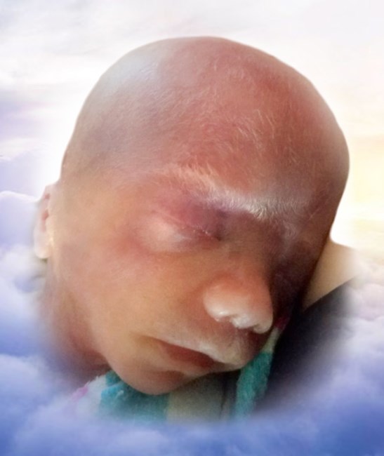 Obituary of Josiah Lee Hall