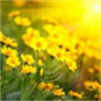 Obituary of Irene Neye Butler Briggs
