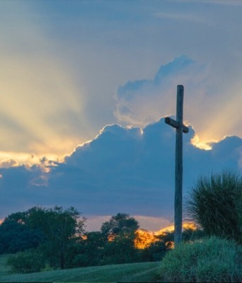 Obituary of Betty Stewart