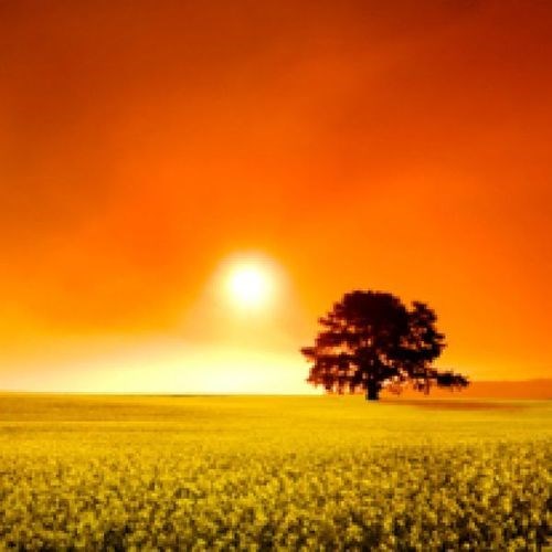 Obituary of Frederick Bloetscher