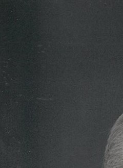 June Rabon Obituary - North Charleston, SC