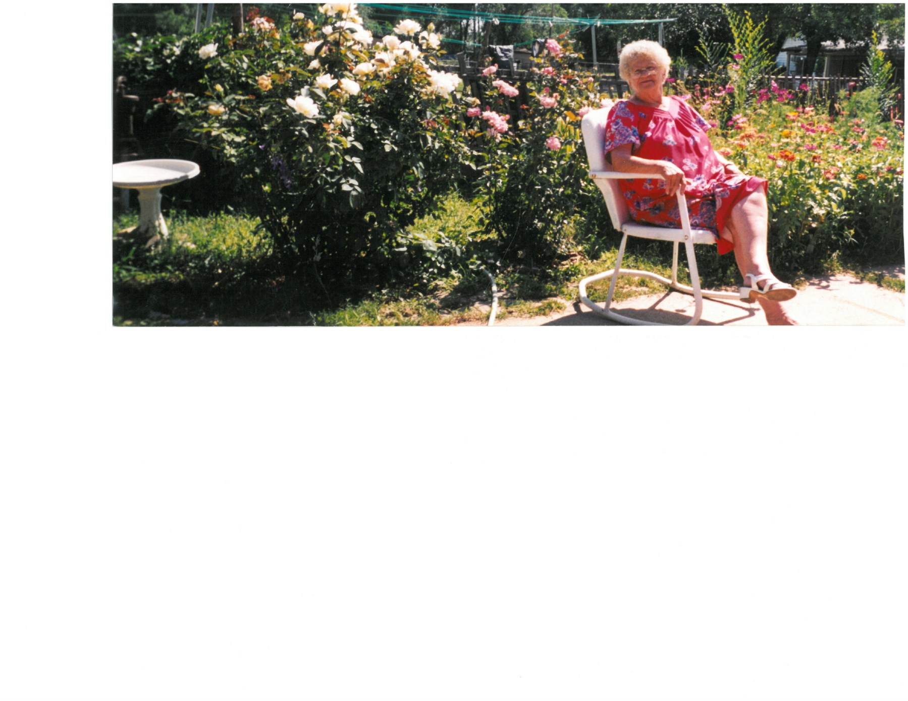 Obituary of Doratha Lee Tiff