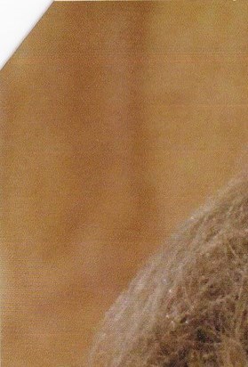 Carolyn Ann Kemper Obituary - Columbia, MO