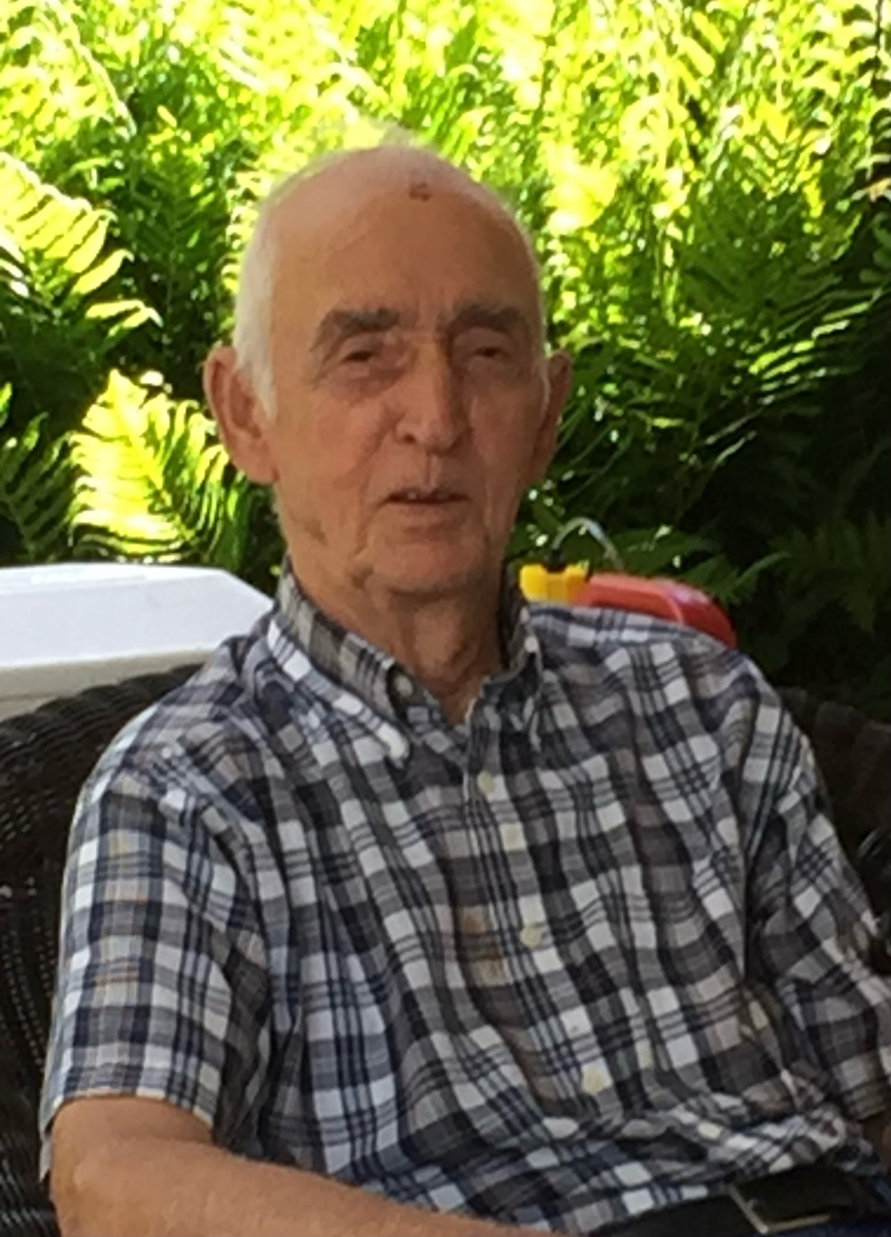 David Schulhofer Obituary Waynesville, NC
