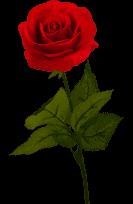 Obituary of Sanea Korin Hawkins