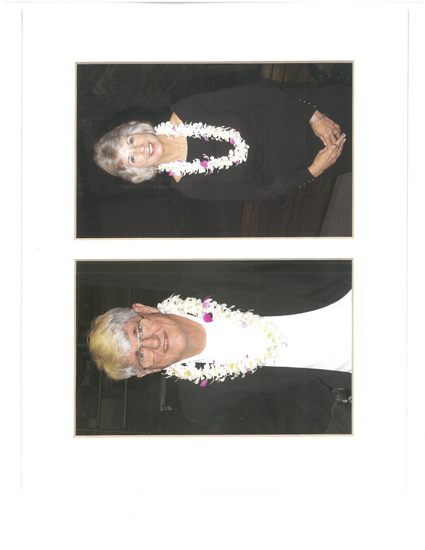 Obituary of Patricia Gavin