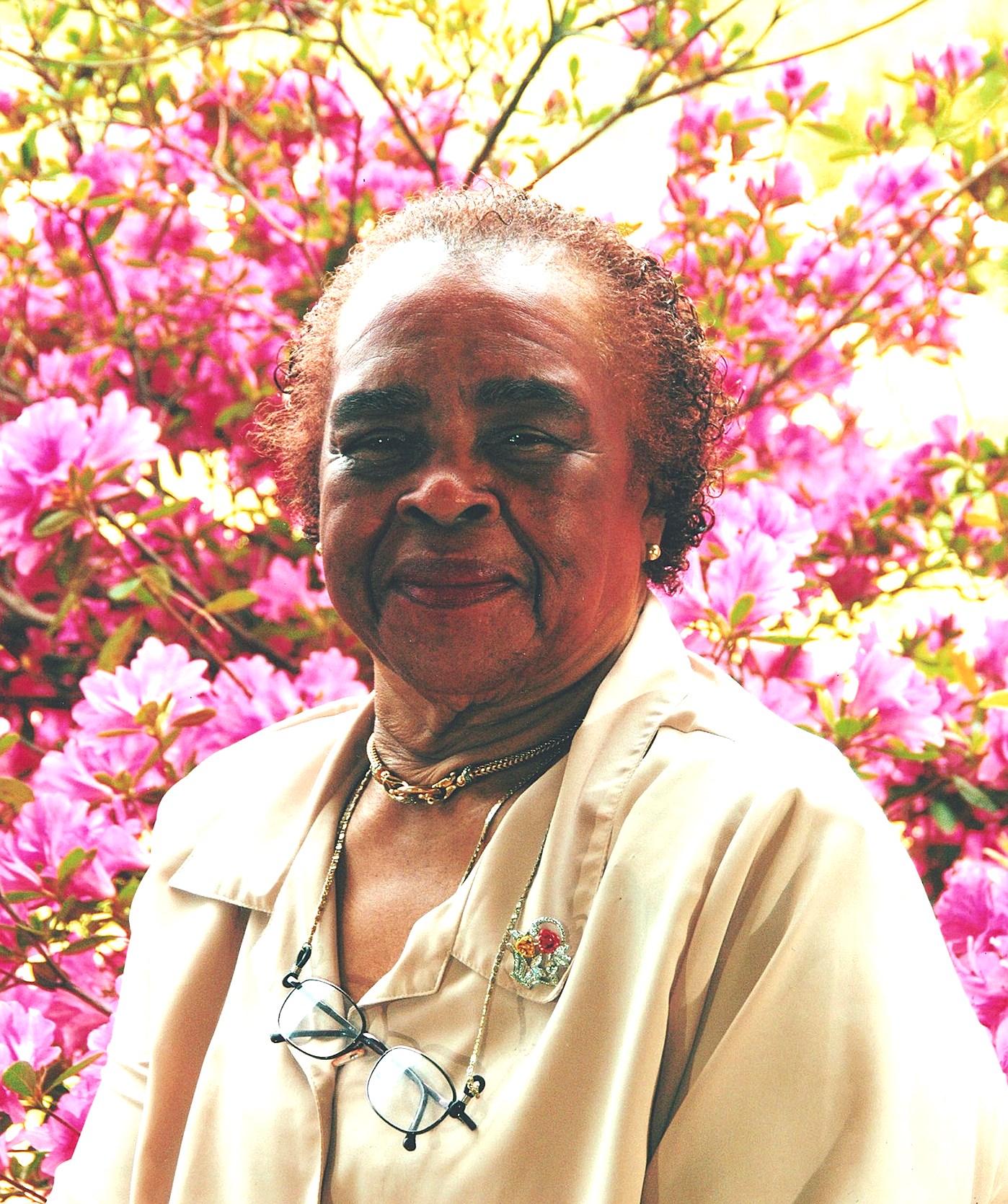 Shirley Allen Wikipedia - pc3ilwr