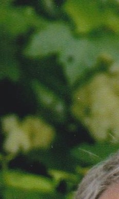 Roy Rolph Larry Hall Obituary - Nottingham, MD