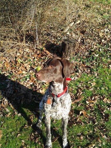 Obituary of Michael Arlen Sands