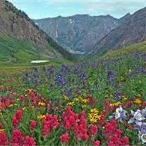 Obituary of Stephen D. Clark