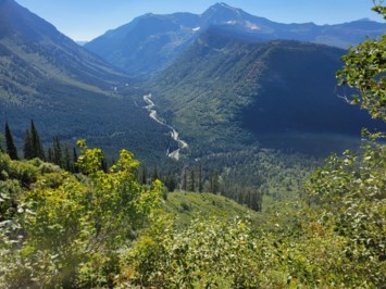 Obituary of Connor Steven Wood