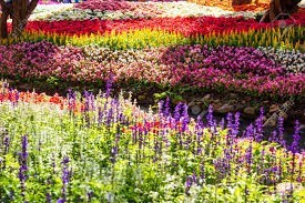 Obituary of Connie Marie Sheehan