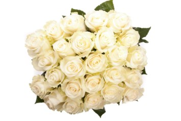 Obituary of Daisy Gregory