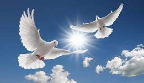 Obituary of Celeste Smith
