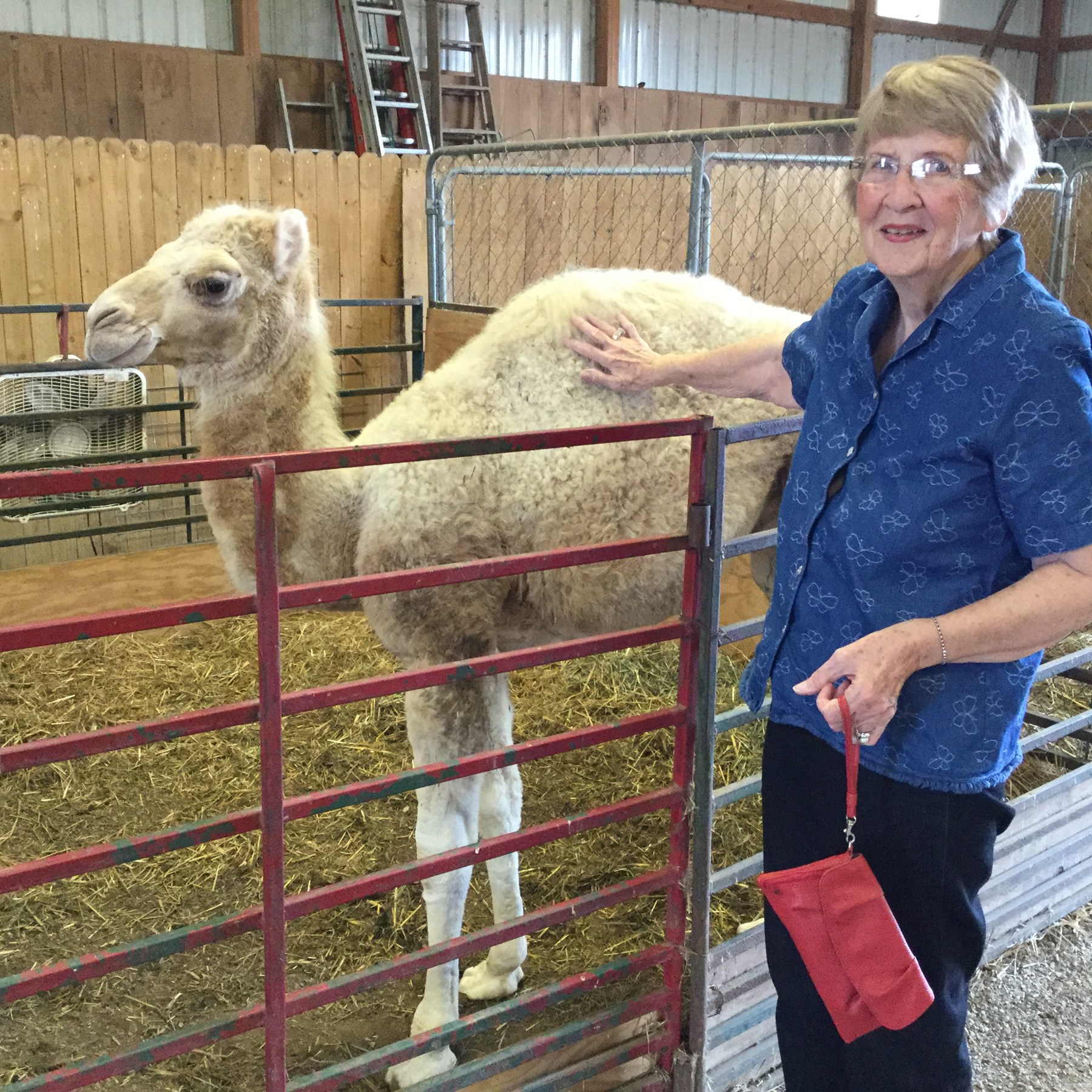 Obituary of Mary Joyce Beaver