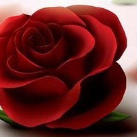 Obituary of Mildred Tribble