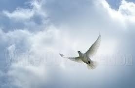 Obituary of Joseph L. Dimino