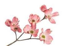 Avis de décès de Mieko Watanabe Moseley