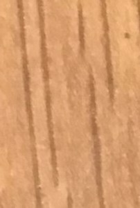 Willie Taylor Obituary - Dallas, TX