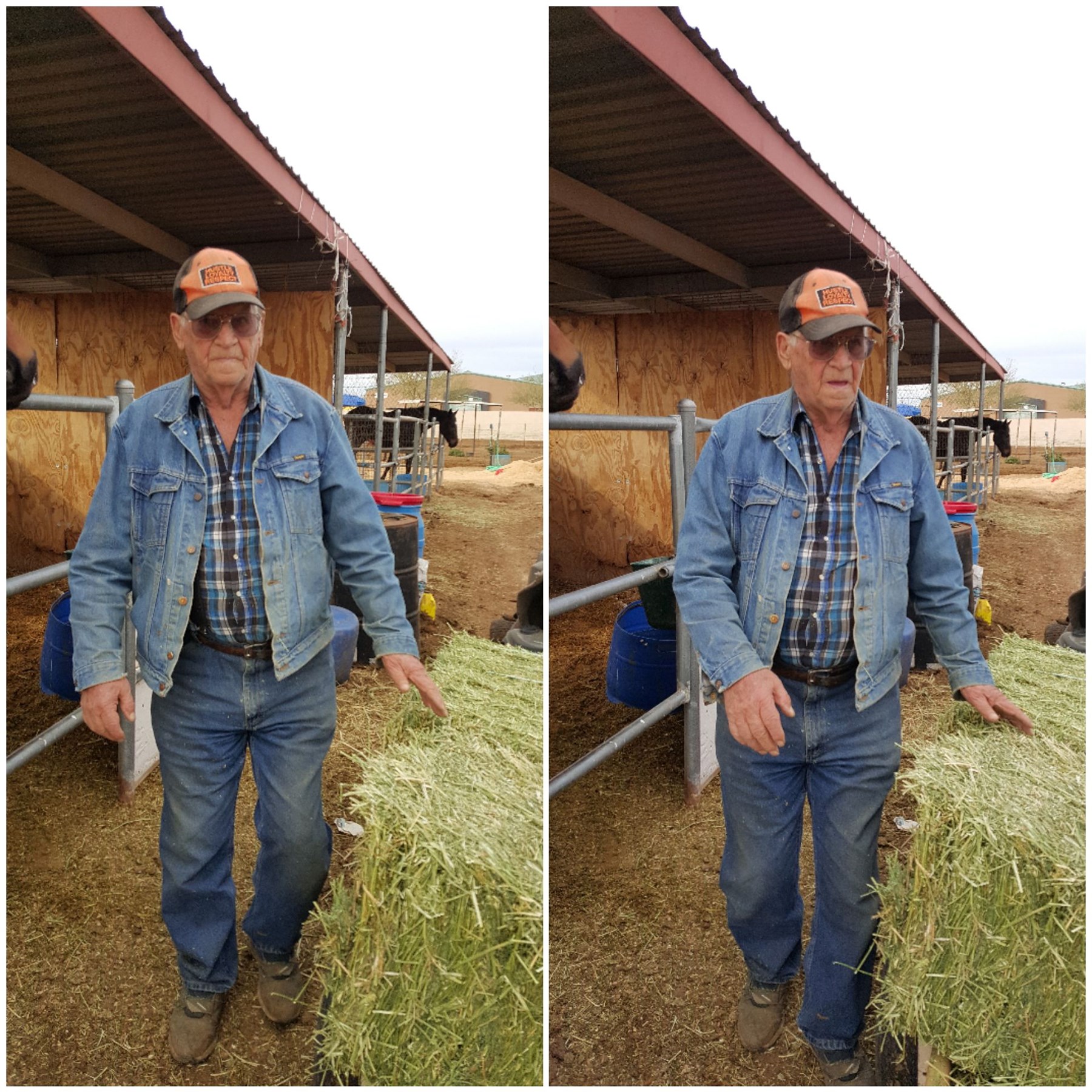 Obituary of Alfred Befus