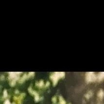 Neil Sweet Obituary - Grand Rapids, MI