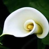 Obituary of Mary Geraline Baty
