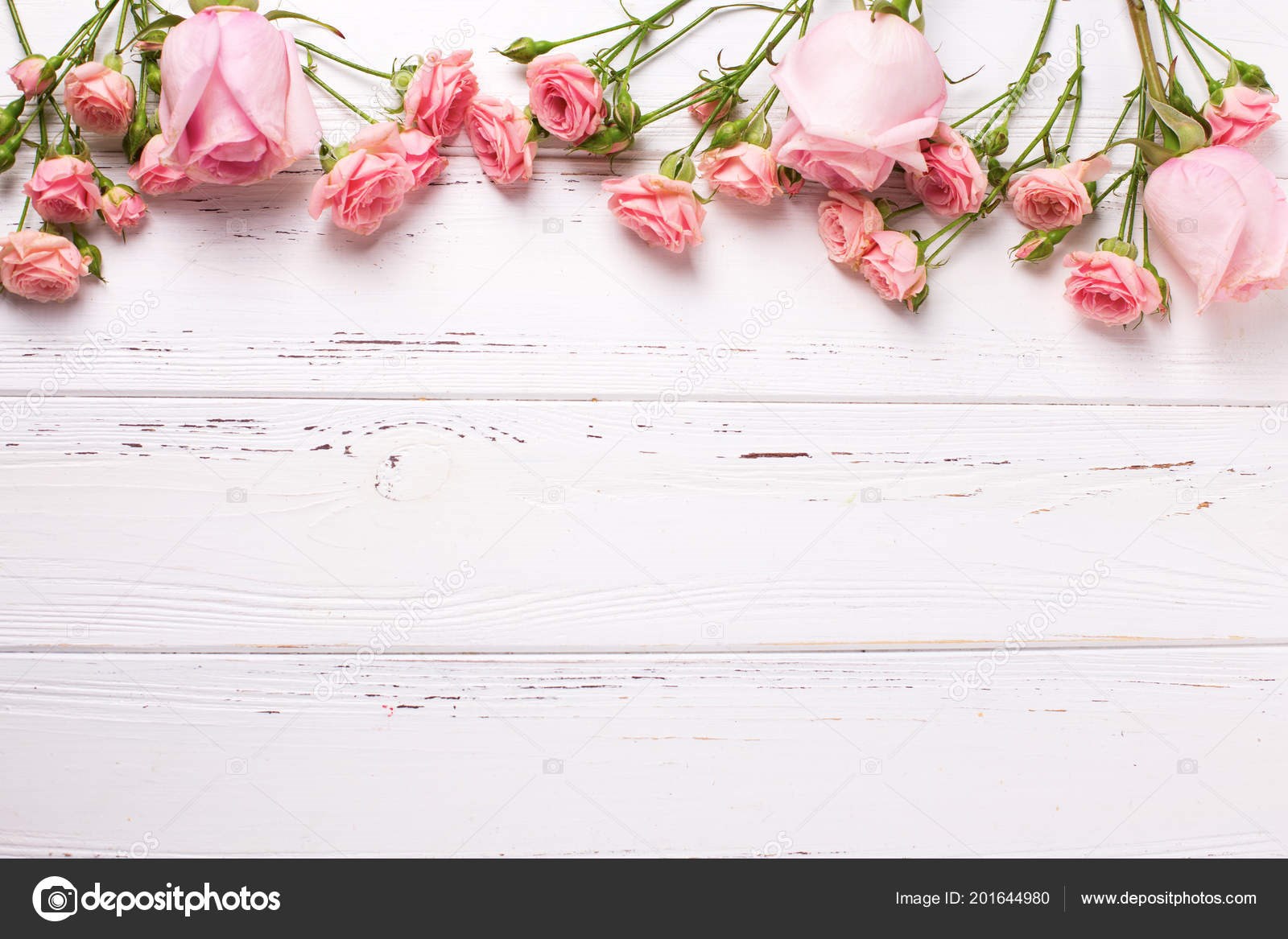 Obituary of Ms. Beverly Lee Kingsley