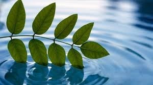 Obituary of Edward Augustus McCormick