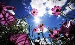 Obituary of Theresa Gilbert