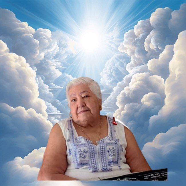 Obituary of Rosalvina Toledo de Villegas