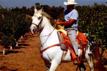 Obituary of Esequiel Lobato Lopez